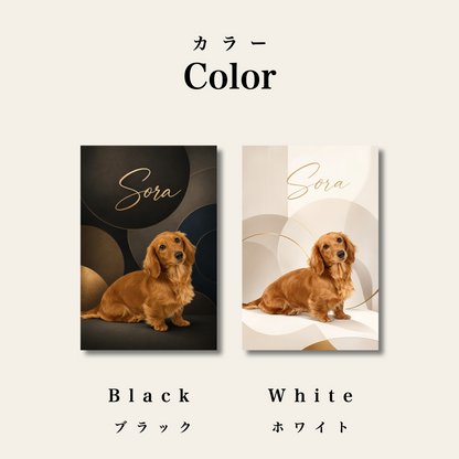 Gallery Luxe